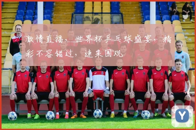 激情直播，世界杯乒乓球盛宴，精彩不容错过，速来围观