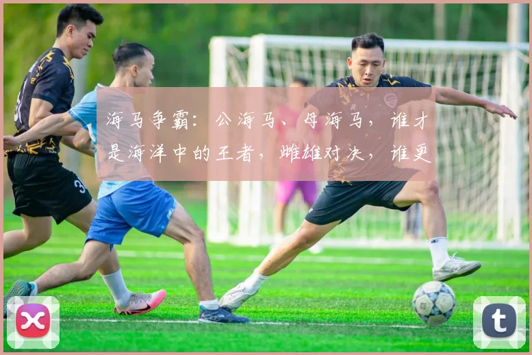 海马争霸：公海马、母海马，谁才是海洋中的王者，雌雄对决，谁更胜一筹