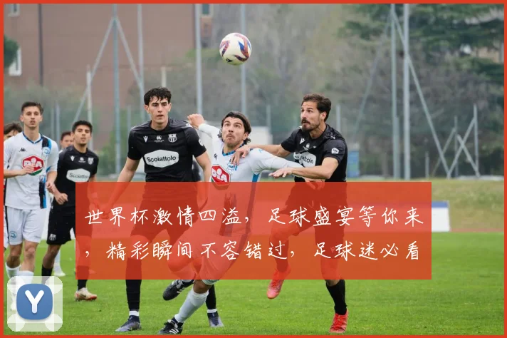 世界杯激情四溢，足球盛宴等你来，精彩瞬间不容错过，足球迷必看